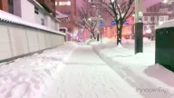 新千歳空港からススキノへ行くならバスが最適【実体験レポ】